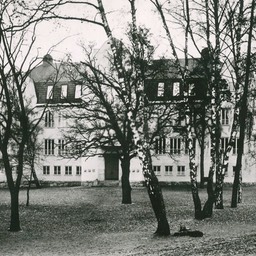 blommensberg49_002